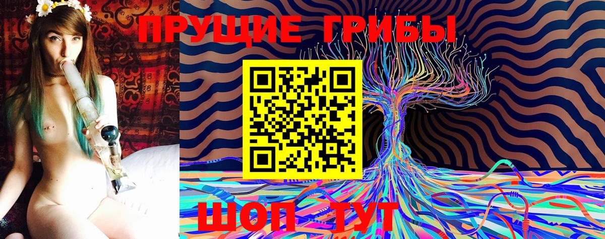 Псилоцибиновые грибы Psilocybe Камышлов