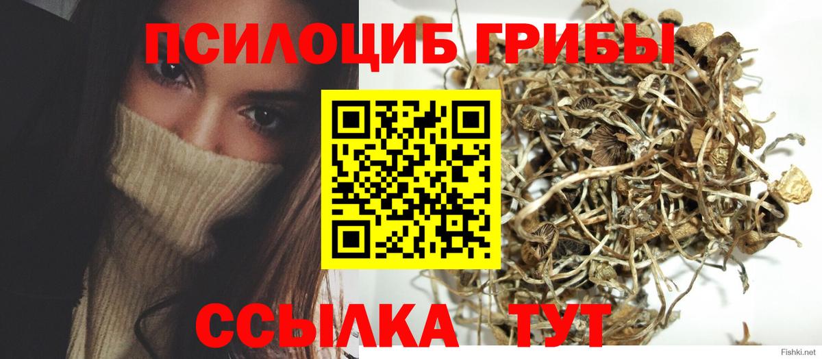 Камышлов  Галлюциногенные грибы Psilocybine cubensis  Псилоцибиновые грибы Psilocybine cubensis  Вход с VPN 